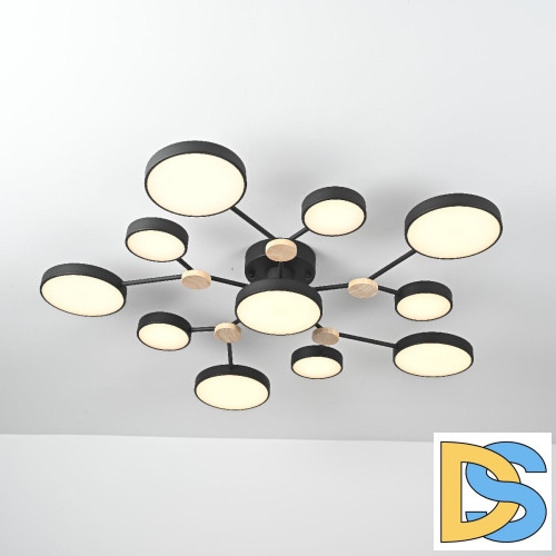 Люстра на штанге ImperiumLoft Gamma 223770-23