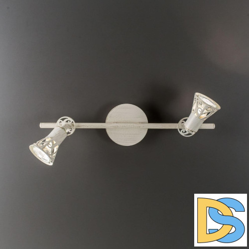 Спот Citilux Винон CL519525