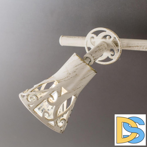 Спот Citilux Винон CL519525