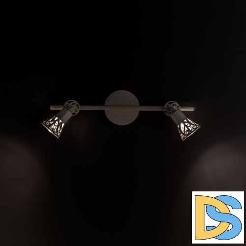 Спот Citilux Винон CL519525