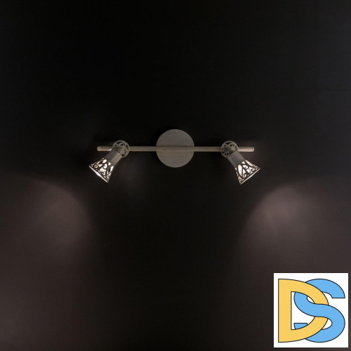 Спот Citilux Винон CL519525