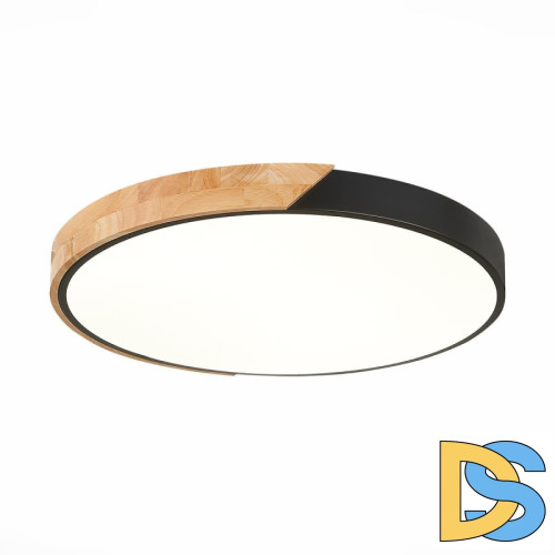 Потолочный светодиодный светильник Evoluce Festa SLE200942-01