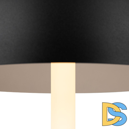 Настольная лампа Maytoni Ray Z012TL-L8B3K