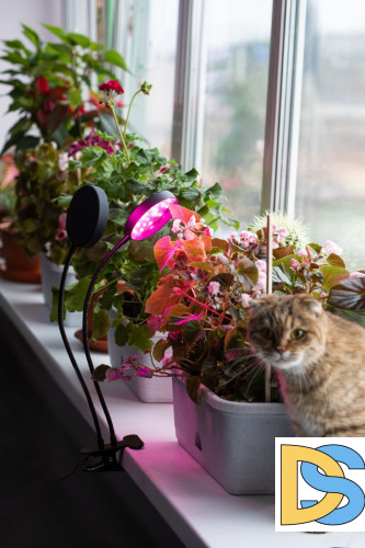 Настольная лампа Эра FITO-20W-АLED-R Б0053290