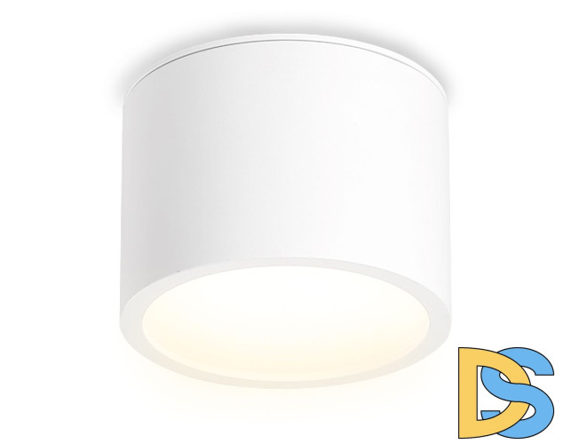 Накладной светильник Ambrella Light IP Protect TN6550