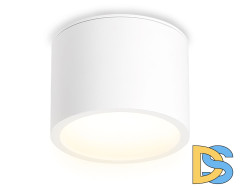 Накладной светильник Ambrella Light IP Protect TN6550