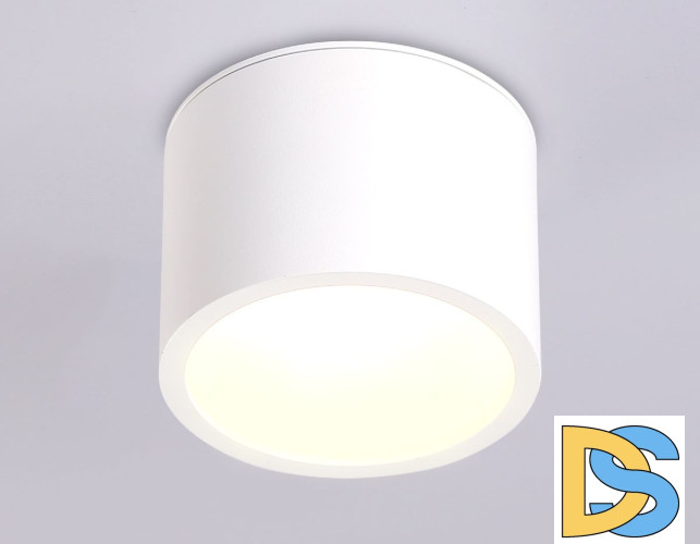 Накладной светильник Ambrella Light IP Protect TN6550