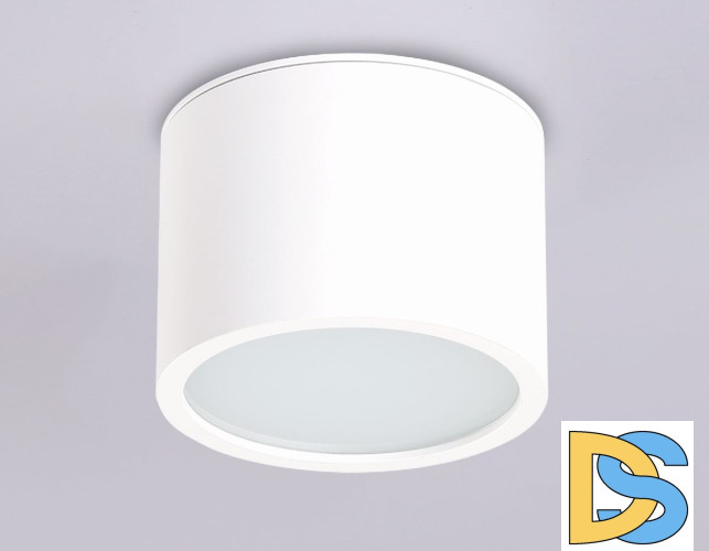 Накладной светильник Ambrella Light IP Protect TN6550