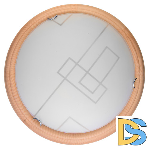 Настенно-потолочный светодиодный светильник Toplight Debora TL9540Y-00PN