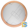 Настенно-потолочный светодиодный светильник Toplight Debora TL9540Y-00PN