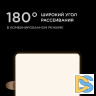 Встраиваемая светодиодная панель Apeyron FLP 06-114