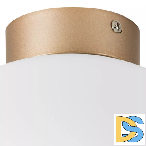 Потолочный светильник Lightstar Globo 812033