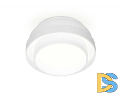 Накладной светильник Ambrella Light TN601