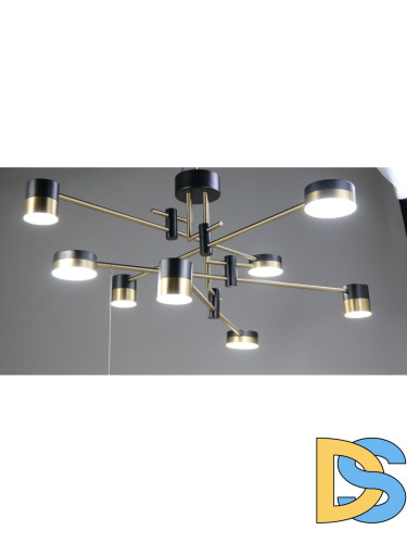 Люстра на штанге Zortes Lunar ZRS.1805.08