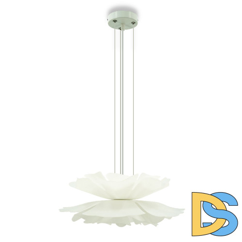 Подвесная люстра Lightera Chad LE116L-55W