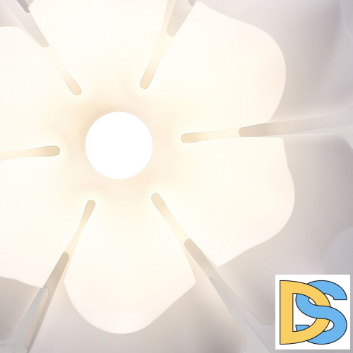 Подвесная люстра Lightera Chad LE116L-55W