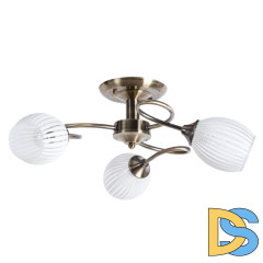Потолочная люстра Arte Lamp Arya A2941PL-3AB