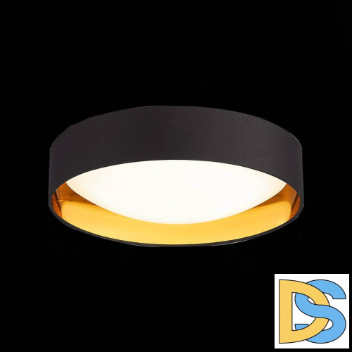 Потолочный светодиодный светильник Evoluce Orbio SLE201102-01