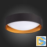 Потолочный светодиодный светильник Evoluce Orbio SLE201102-01