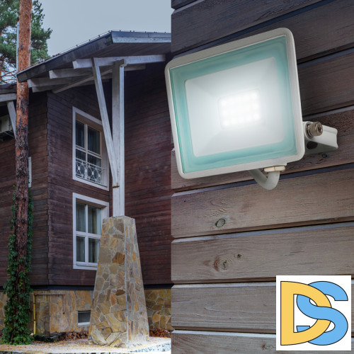 Прожектор Эра LPR-023-W-65K-020 Б0054640