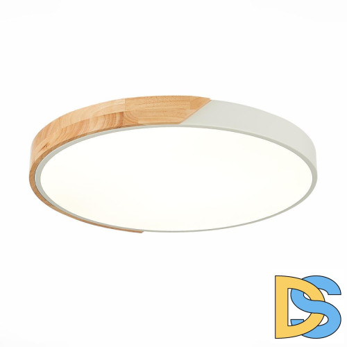 Потолочный светодиодный светильник Evoluce Festa SLE200952-01