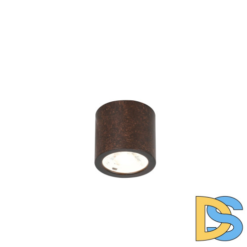 Накладной светильник Favourite Deorsum 2809-1C