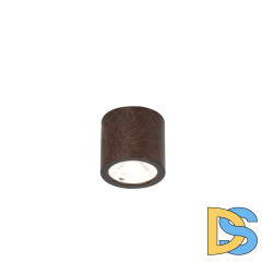 Накладной светильник Favourite Deorsum 2809-1C