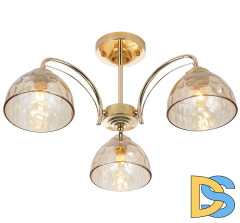 Люстра на штанге Rivoli Terri Б0060988