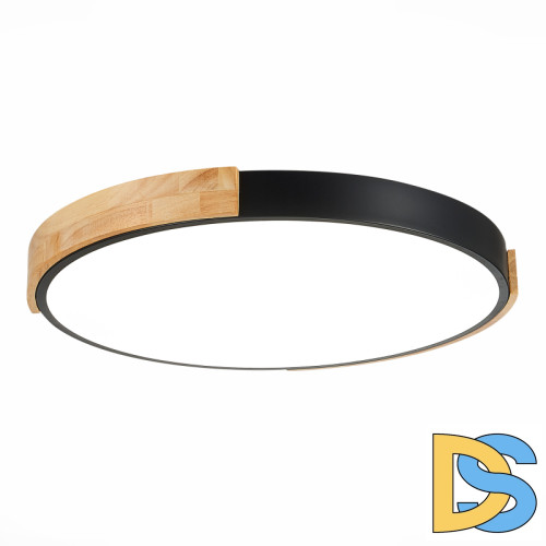 Потолочный светильник Evoluce Delia SLE201342-01