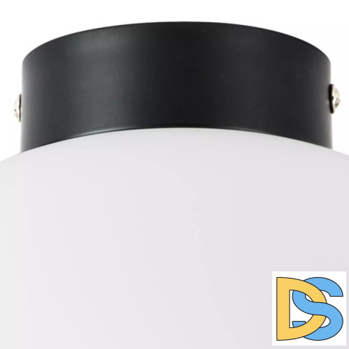 Потолочный светильник Lightstar Globo 812037