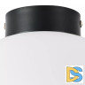 Потолочный светильник Lightstar Globo 812037