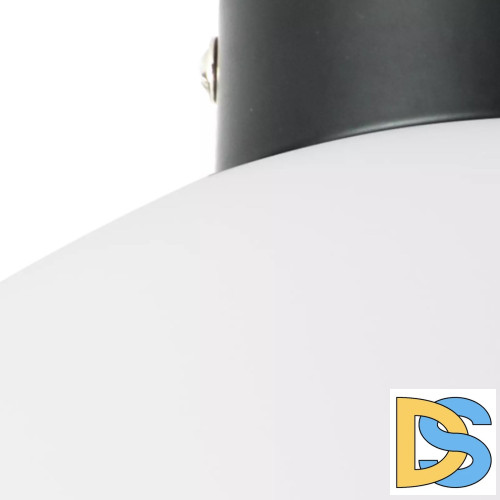 Потолочный светильник Lightstar Globo 812037