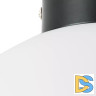 Потолочный светильник Lightstar Globo 812037