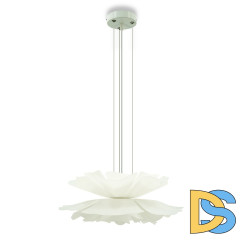 Подвесная люстра Lightera Chad LE116L-60W