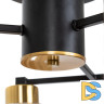 Потолочная люстра Arte Lamp Leo A7027PL-8BK