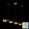 Подвесная светодиодная люстра ST Luce Pances SL6000.303.05
