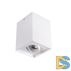 Накладной светильник Kanlux Gord DLP 50-W 25470