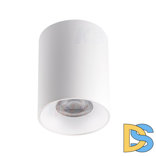 Потолочный светильник Kanlux Riti GU10 W/W 27569