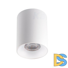 Потолочный светильник Kanlux Riti GU10 W/W 27569