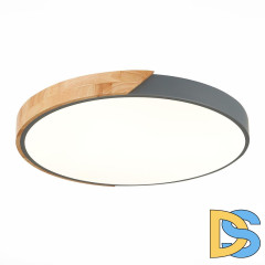 Потолочный светодиодный светильник Evoluce Festa SLE200972-01