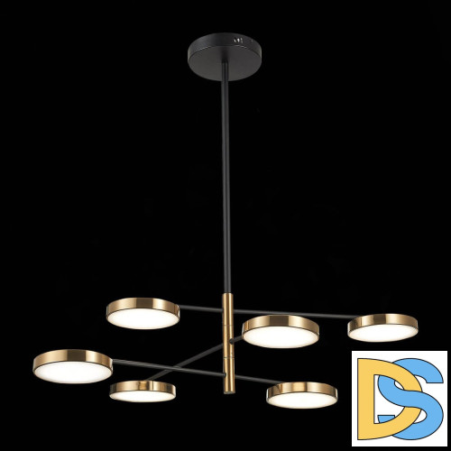 Люстра на штанге ST Luce Farone SL1605.413.06
