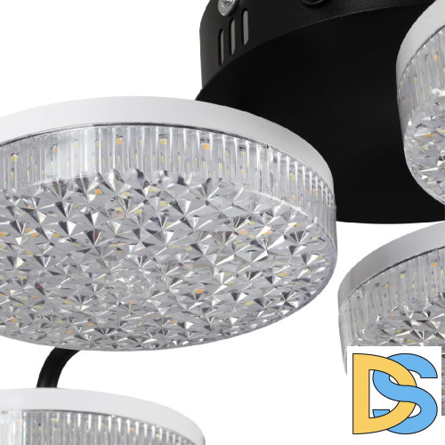 Потолочная люстра Lumion Didana 8236/6CL