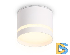 Накладной светильник Ambrella Light IP Protect TN6571