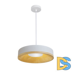 Подвесной светильник Divinare Vaso 5119/33 SP-12