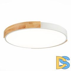 Потолочный светильник Evoluce Delia SLE201352-01