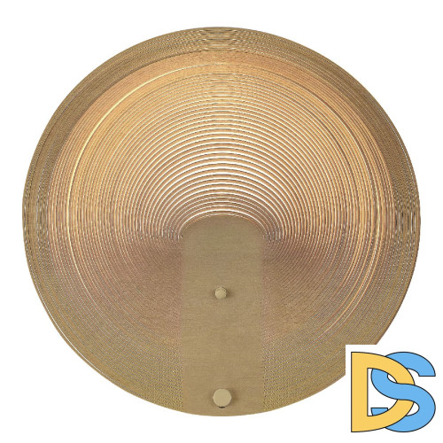 Настенный светильник ST Luce Fossil SL6900.501.16