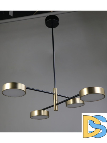 Люстра на штанге Zortes Lunar ZRS.01243.06