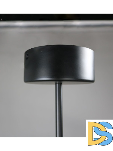 Люстра на штанге Zortes Lunar ZRS.01243.06