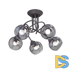 Потолочная люстра Vitaluce V4309-1/5PL