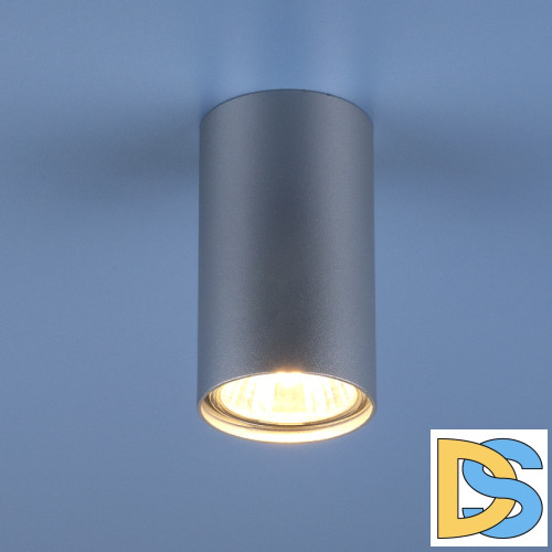 Потолочный светильник Elektrostandard 1081 5257 GU10 SL серебро 4690389104381